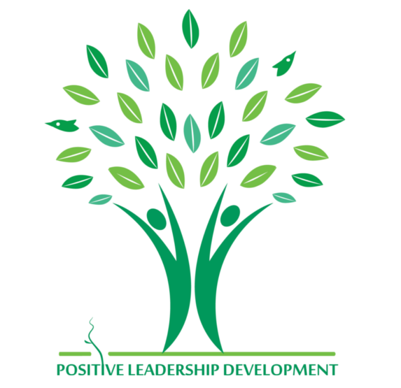 Positive Leadership Development